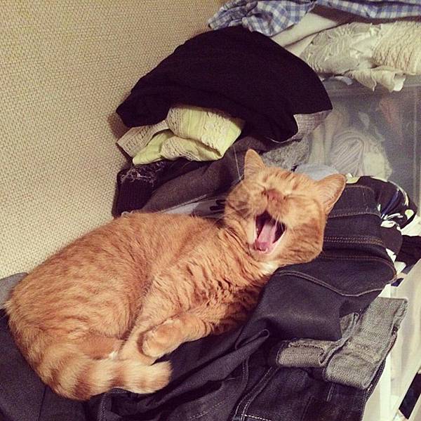 Screenshot_2014-09-23-20-55-40_1.jpg Screenshot_2014-09-23-20-55-40_1.jpg