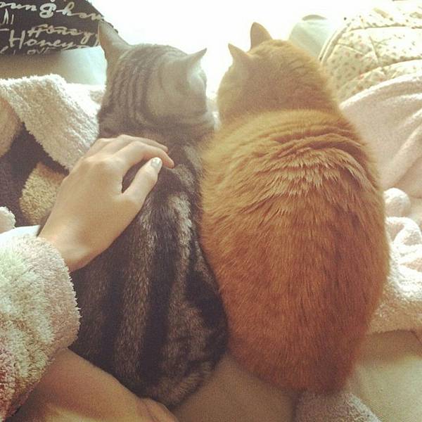 Screenshot_2014-09-23-22-06-48_1.jpg Screenshot_2014-09-23-22-06-48_1.jpg