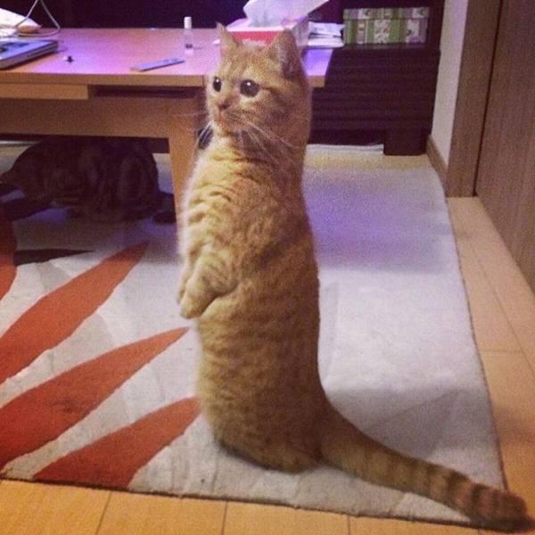 Screenshot_2014-09-23-22-07-09_1.jpg Screenshot_2014-09-23-22-07-09_1.jpg