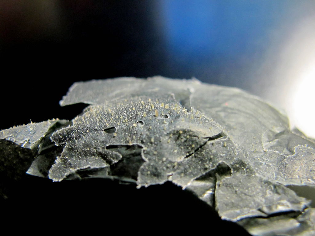 IMG_1609.JPG IMG_1609.JPG