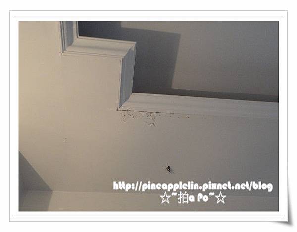 DSC00803-pix.JPG DSC00803-pix.JPG