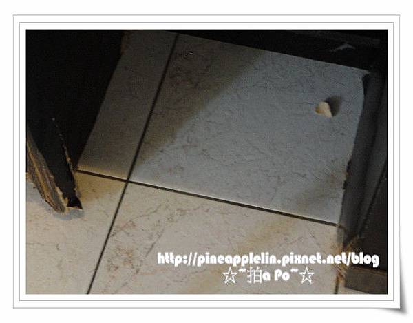 DSC00805-pix.JPG DSC00805-pix.JPG