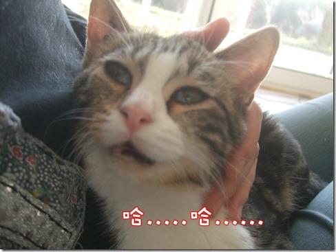 DSCF6343 DSCF6343