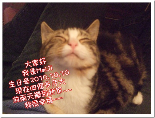 DSCF6382.1 DSCF6382.1