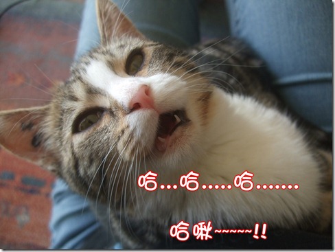 DSCF6346 DSCF6346