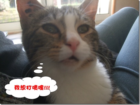 DSCF6337 DSCF6337