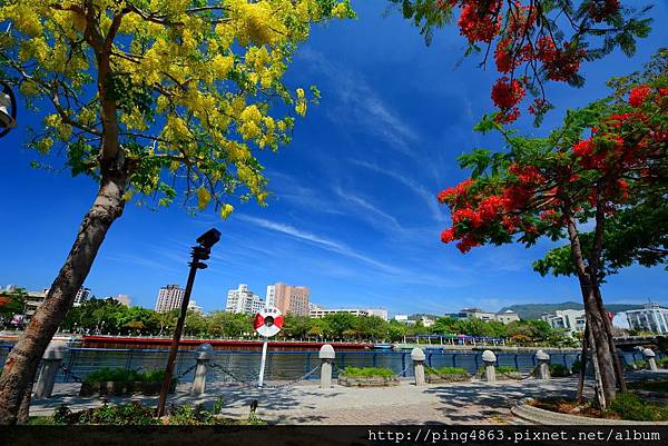 20150517高雄鳳凰花開 287 (1024x683).jpg