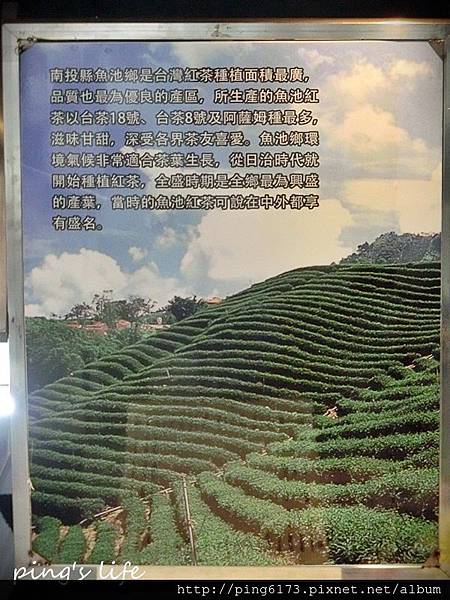 CIMG3838.JPG CIMG3838.JPG