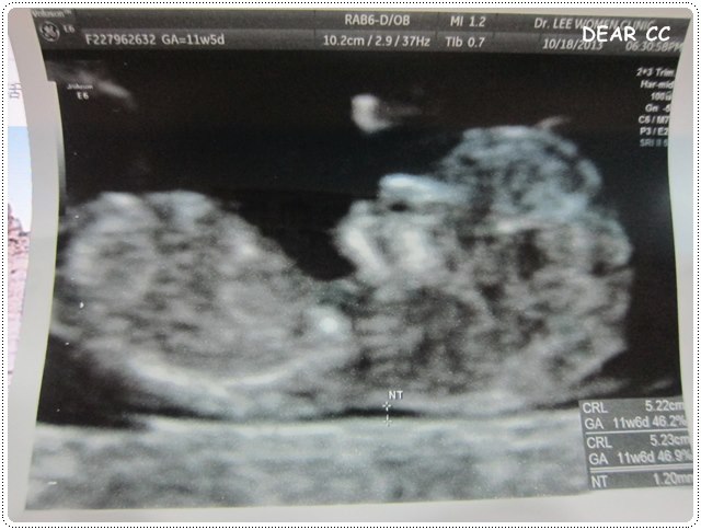 IMG_0792.JPG IMG_0792.JPG