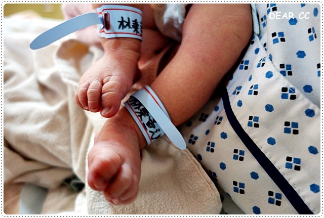 DSC00369.JPG DSC00369.JPG