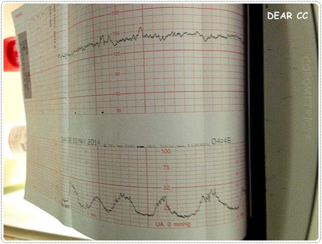 IMG_6526.JPG IMG_6526.JPG