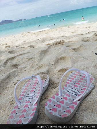 1736914876 1736914876