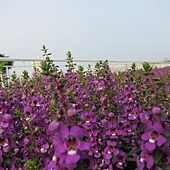 IMG_2762.JPG IMG_2762.JPG