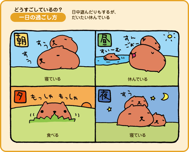 life_daily.gif life_daily.gif