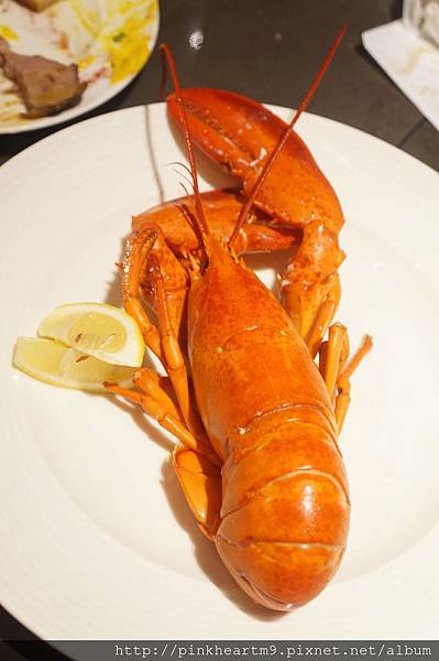DSC07425.jpg DSC07425.jpg