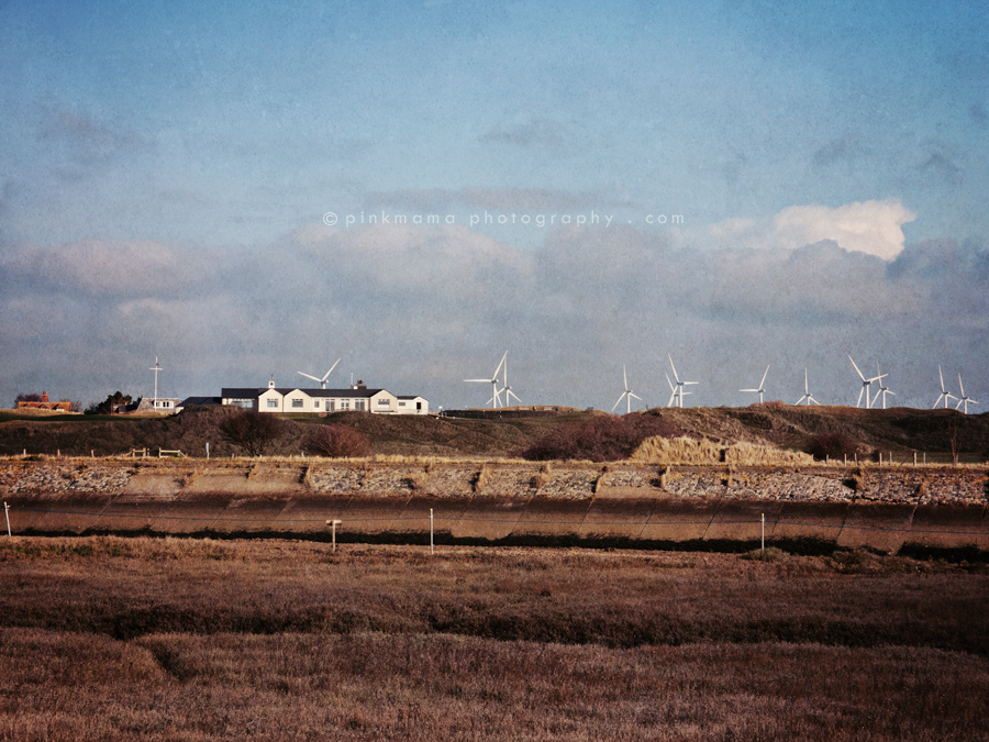 0128-5.jpg