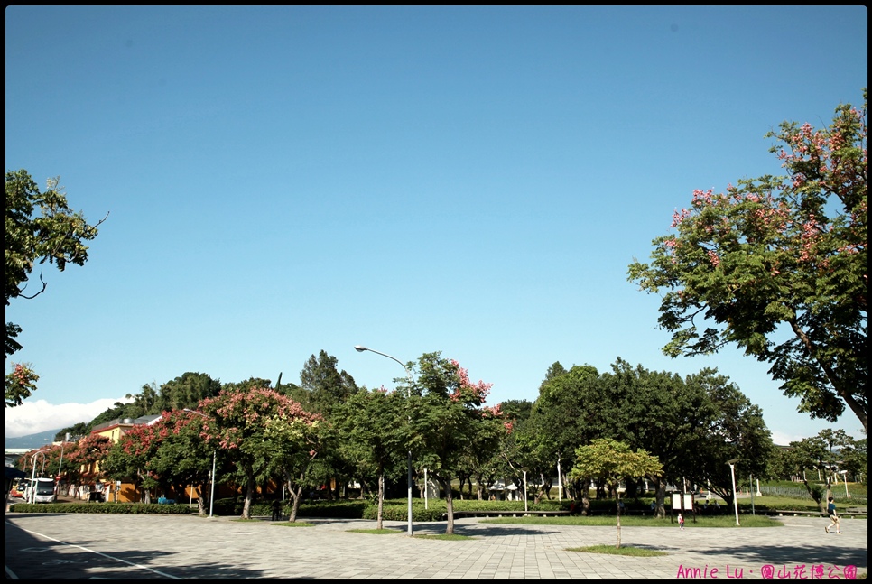 IMG_1107.JPG IMG_1107.JPG