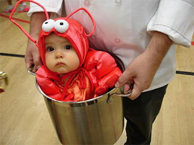 lobster-dresses-as-a-baby-3833-1252091748-21