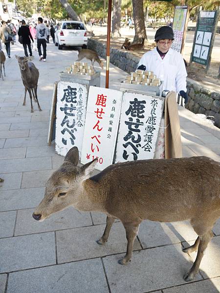 奈良