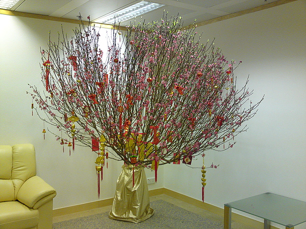 07022011003.JPG