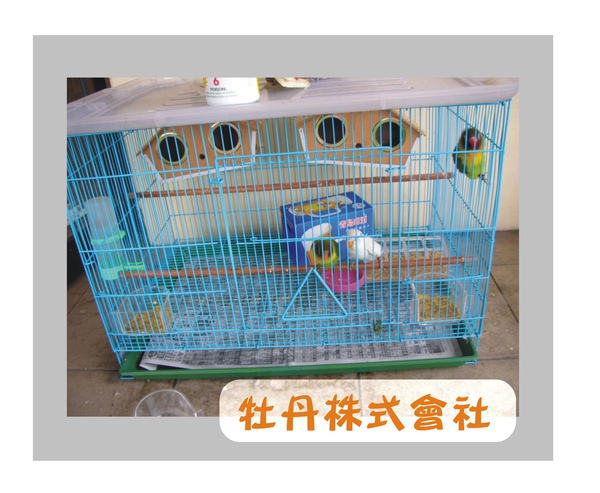 飼養環境 飼養環境