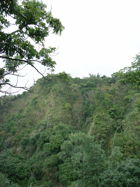 R0010737.JPG R0010737.JPG