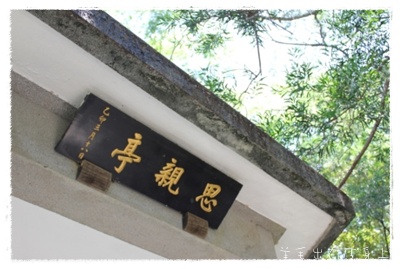 IMG_0201.JPG IMG_0201.JPG