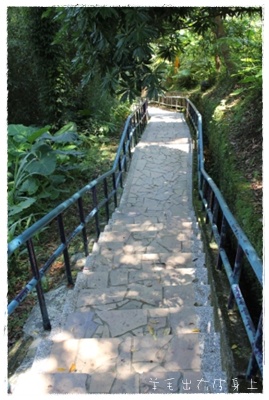 IMG_0215.JPG IMG_0215.JPG