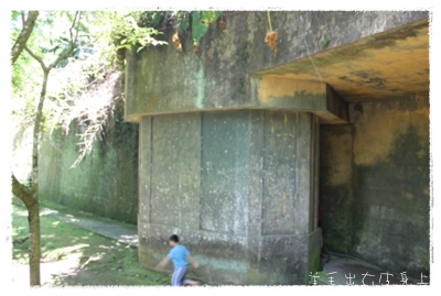 IMG_0217.JPG IMG_0217.JPG