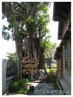 IMG_0260.JPG IMG_0260.JPG