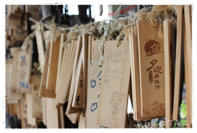 IMG_9246.JPG IMG_9246.JPG