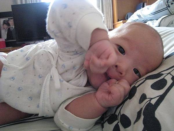 IMG_2012 IMG_2012