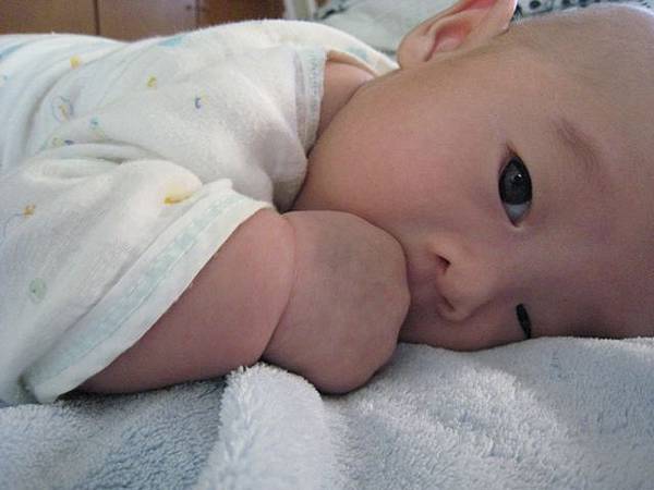 IMG_2023 IMG_2023