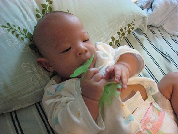 IMG_2113 IMG_2113