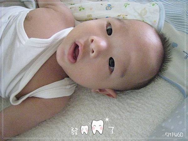 IMG_2560 IMG_2560