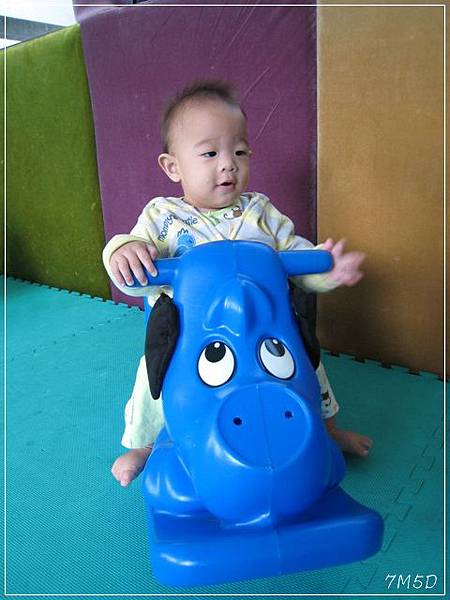 IMG_2874 IMG_2874