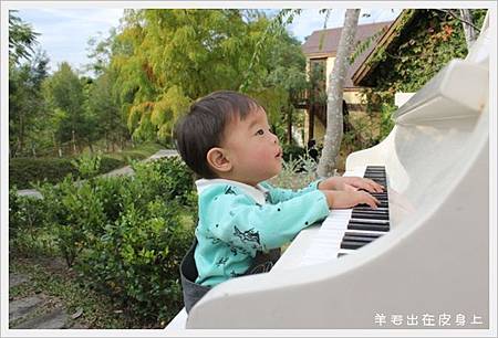 IMG_5177 IMG_5177