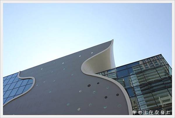 IMG_8003 IMG_8003