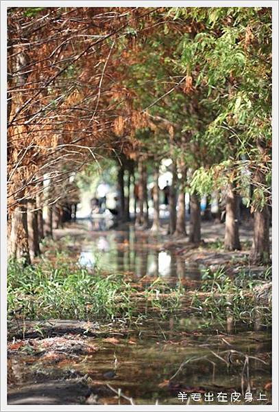 IMG_8040 IMG_8040