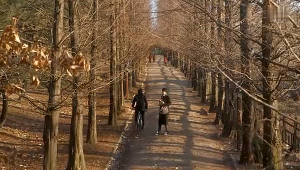 全螢幕擷取 722014 134305.bmp