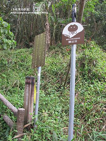 IMG_2141拷貝 IMG_2141拷貝