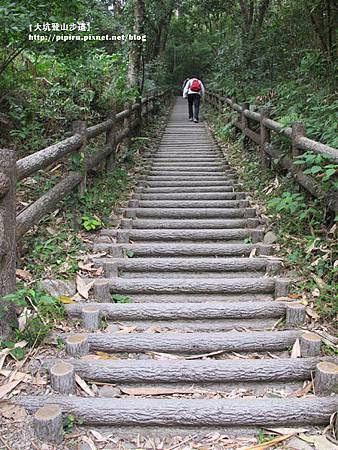 IMG_2142拷貝 IMG_2142拷貝