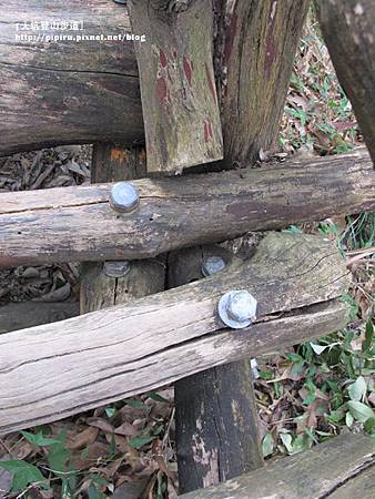 IMG_2184拷貝 IMG_2184拷貝