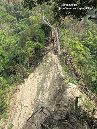 IMG_2203拷貝 IMG_2203拷貝