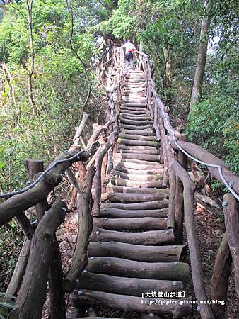 IMG_2215拷貝 IMG_2215拷貝