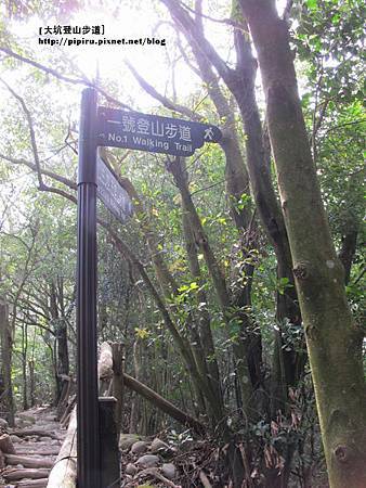 IMG_2216拷貝 IMG_2216拷貝