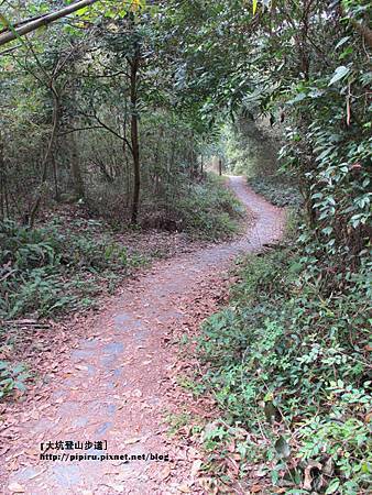 IMG_2234拷貝 IMG_2234拷貝