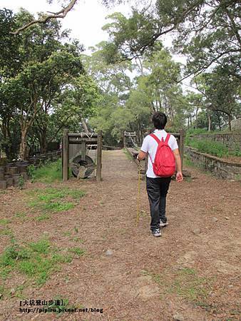 IMG_2247拷貝 IMG_2247拷貝