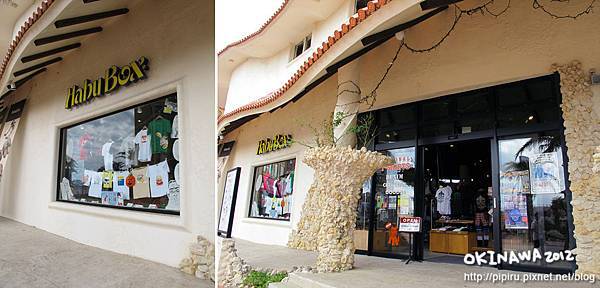 IMG_0534-1 IMG_0534-1