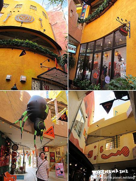 IMG_0556-1 IMG_0556-1